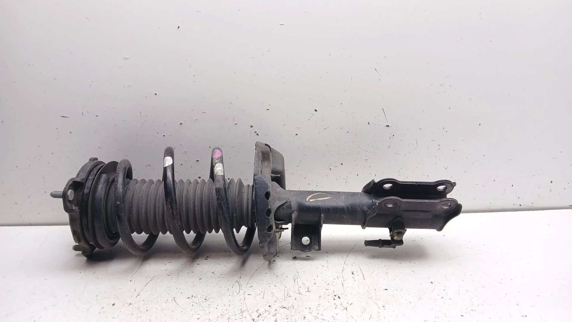 Amortiguador Delantero Derecho para Kia Ceed (Cd)