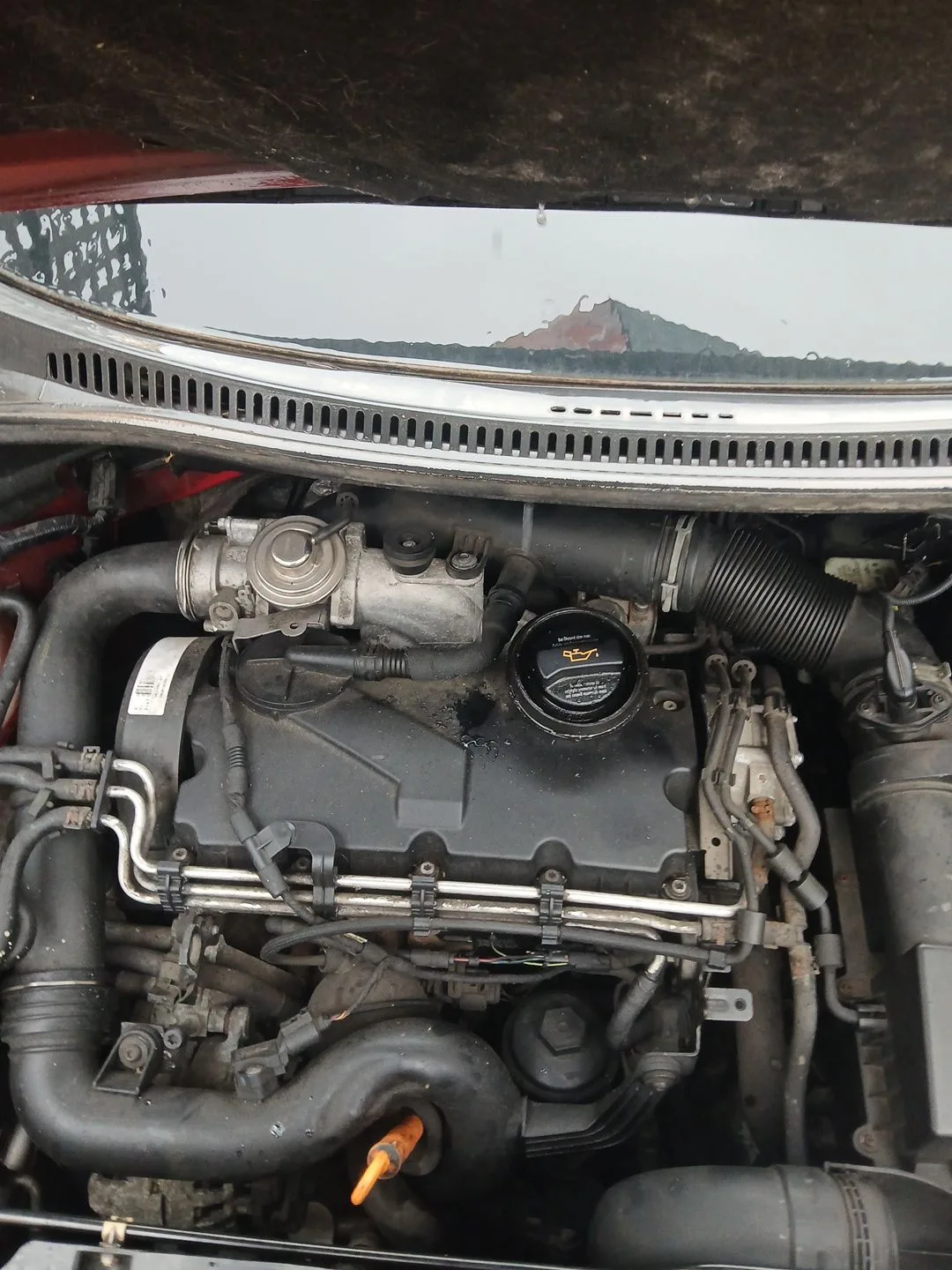 Despiece Motor para Seat Altea (5P1)