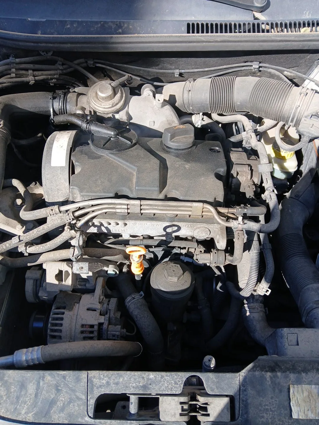 Motor Completo para Seat Ibiza Iii (6L1)