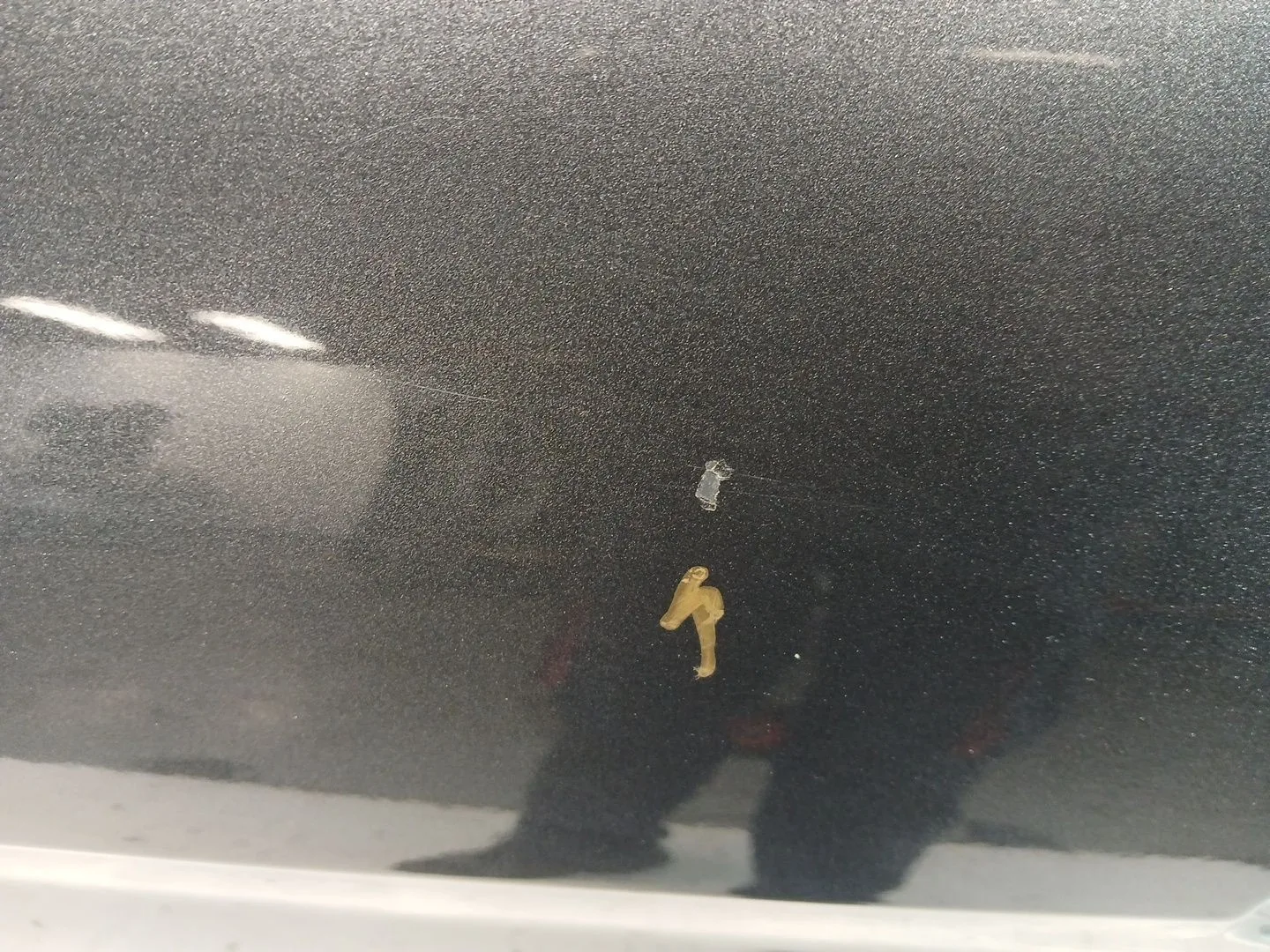 Puerta Trasera Izquierda para Ford C-Max Ii (Dxa/Cb7, Dxa/Ceu)