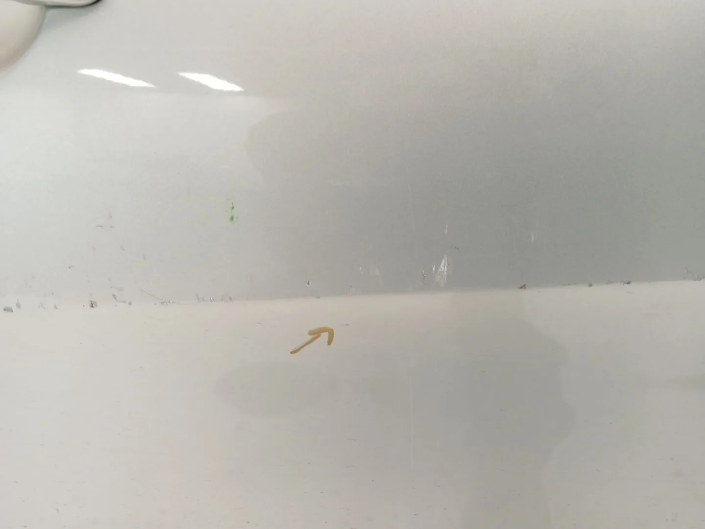 Puerta Delantera Derecha para Seat Altea (5P1)