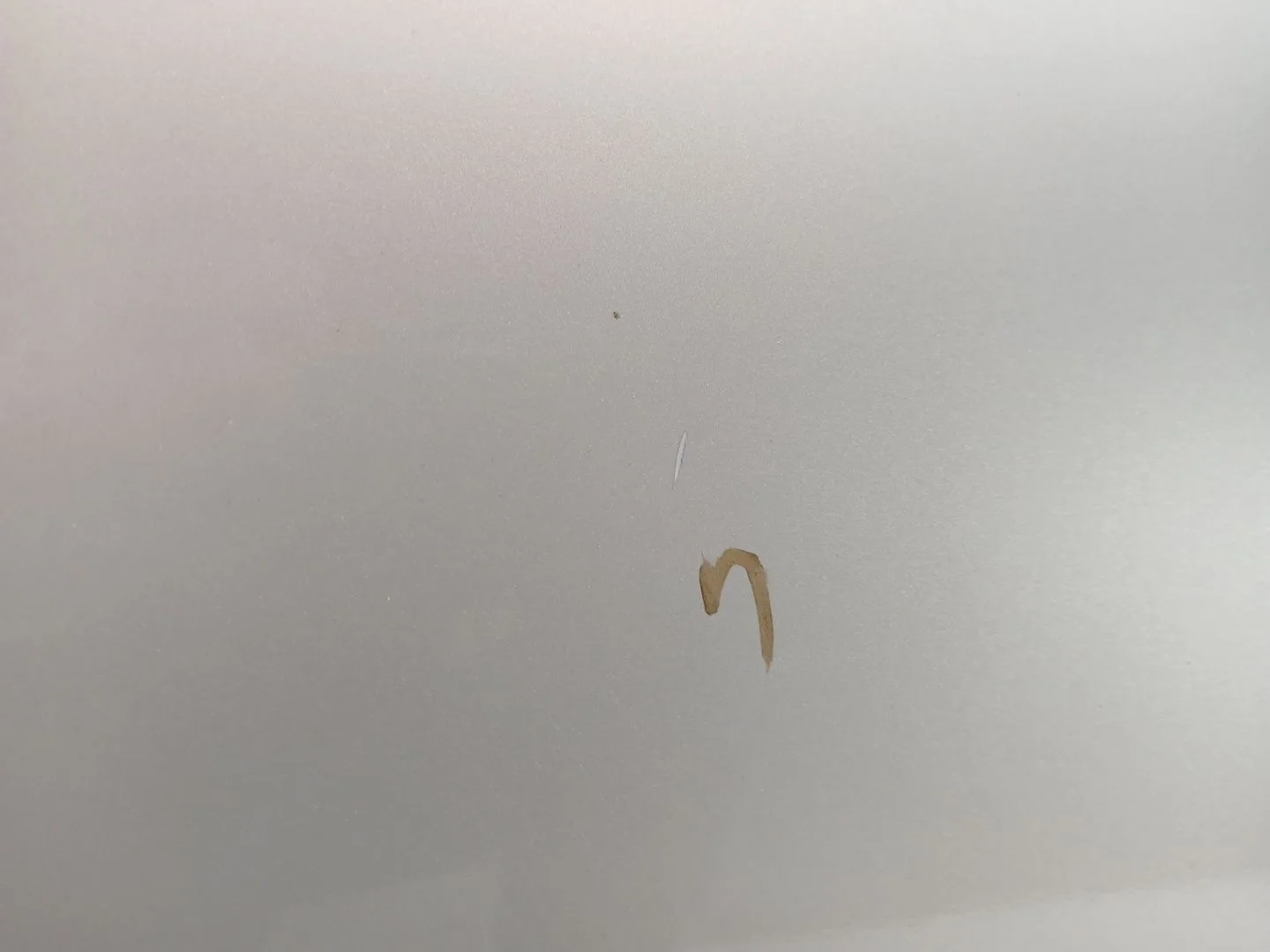 Puerta Trasera Izquierda para Seat Altea (5P1)