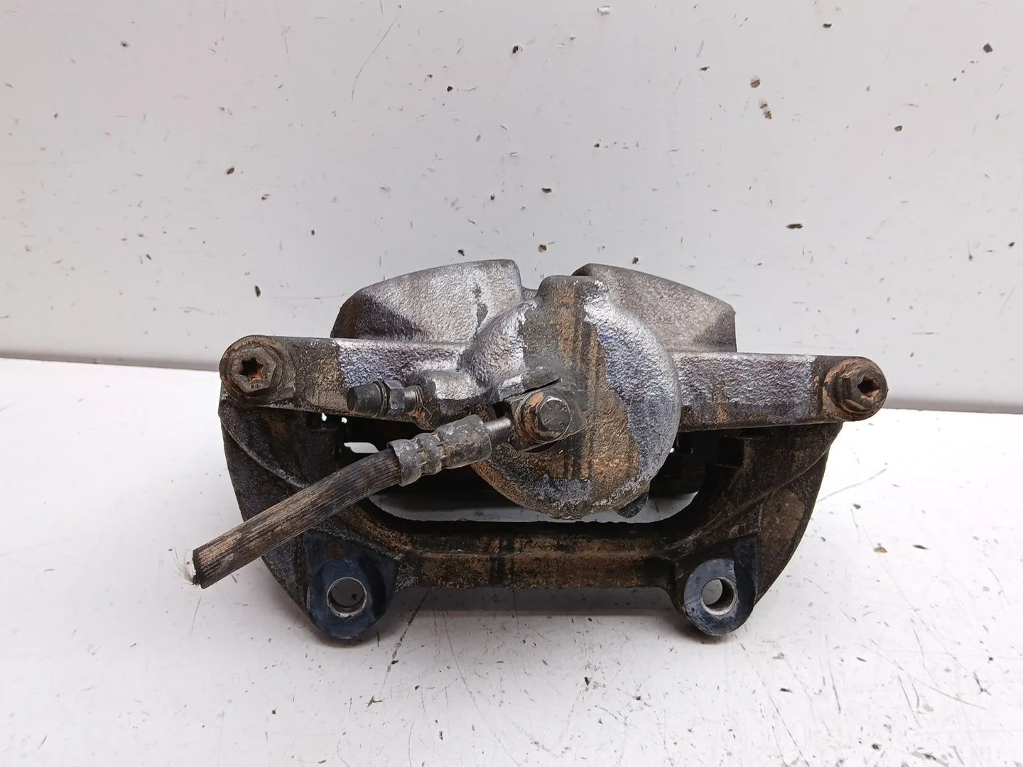 Pinza Freno Delantera Derecha para Volkswagen Tiguan (Ad1, Ax1)