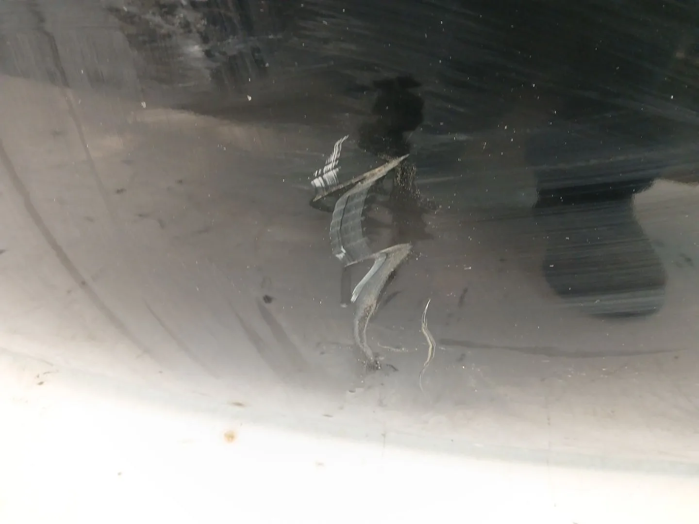 Capot para Subaru Outback (Bp)