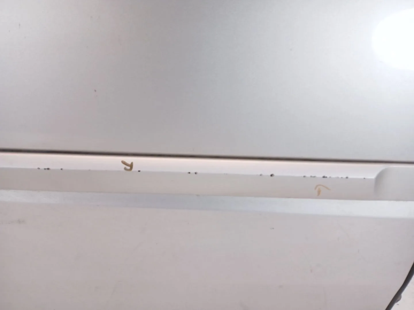 Puerta Trasera Derecha para Renault Laguna Iii (Bt0/1)