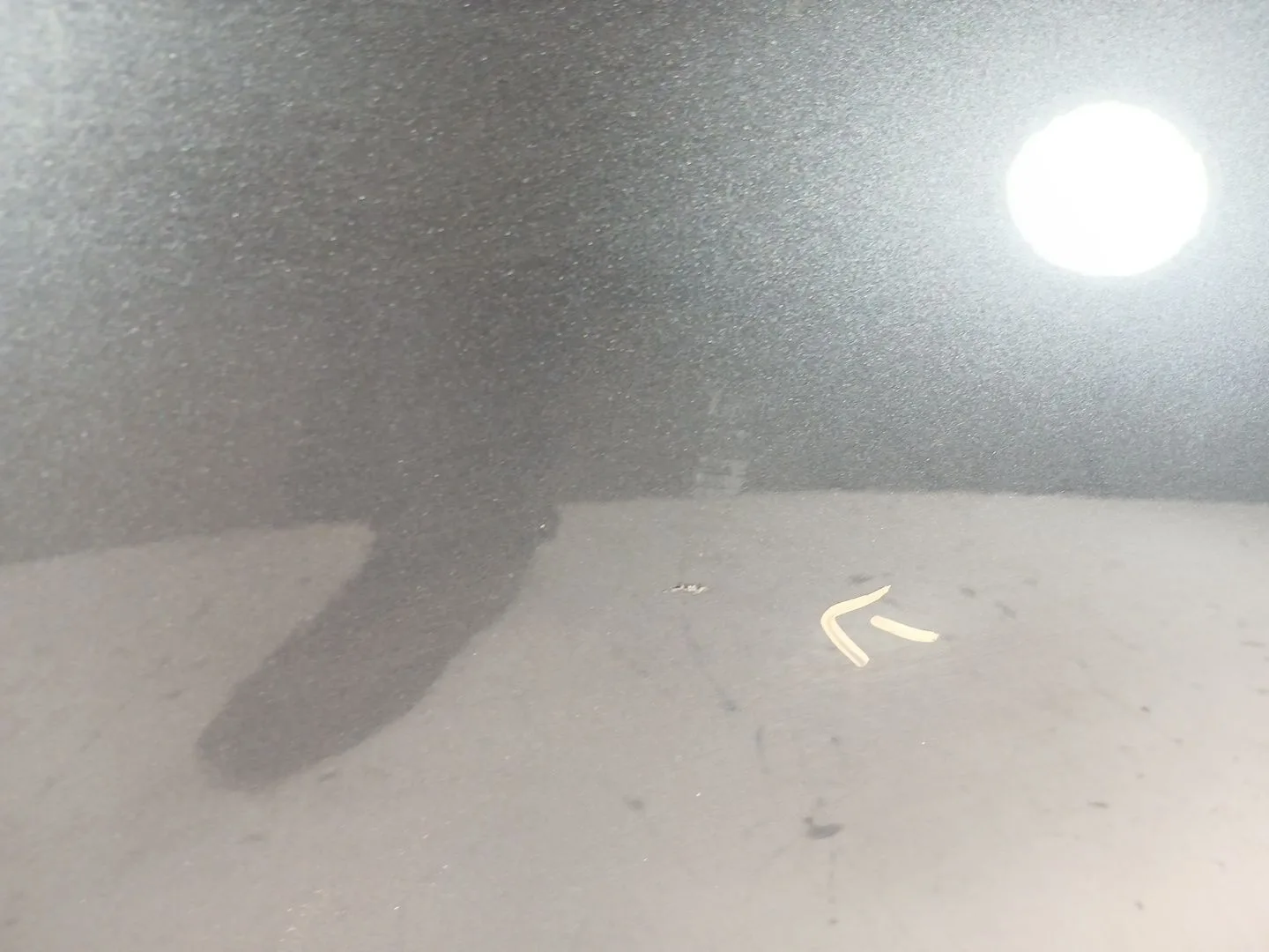Puerta Trasera Derecha para Bmw 1 (E87)