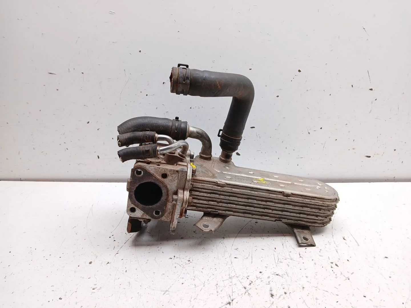 Enfriador Egr para Seat Leon (1P1)