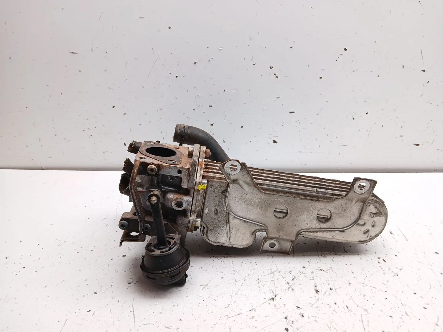 Enfriador Egr para Seat Leon (1P1)
