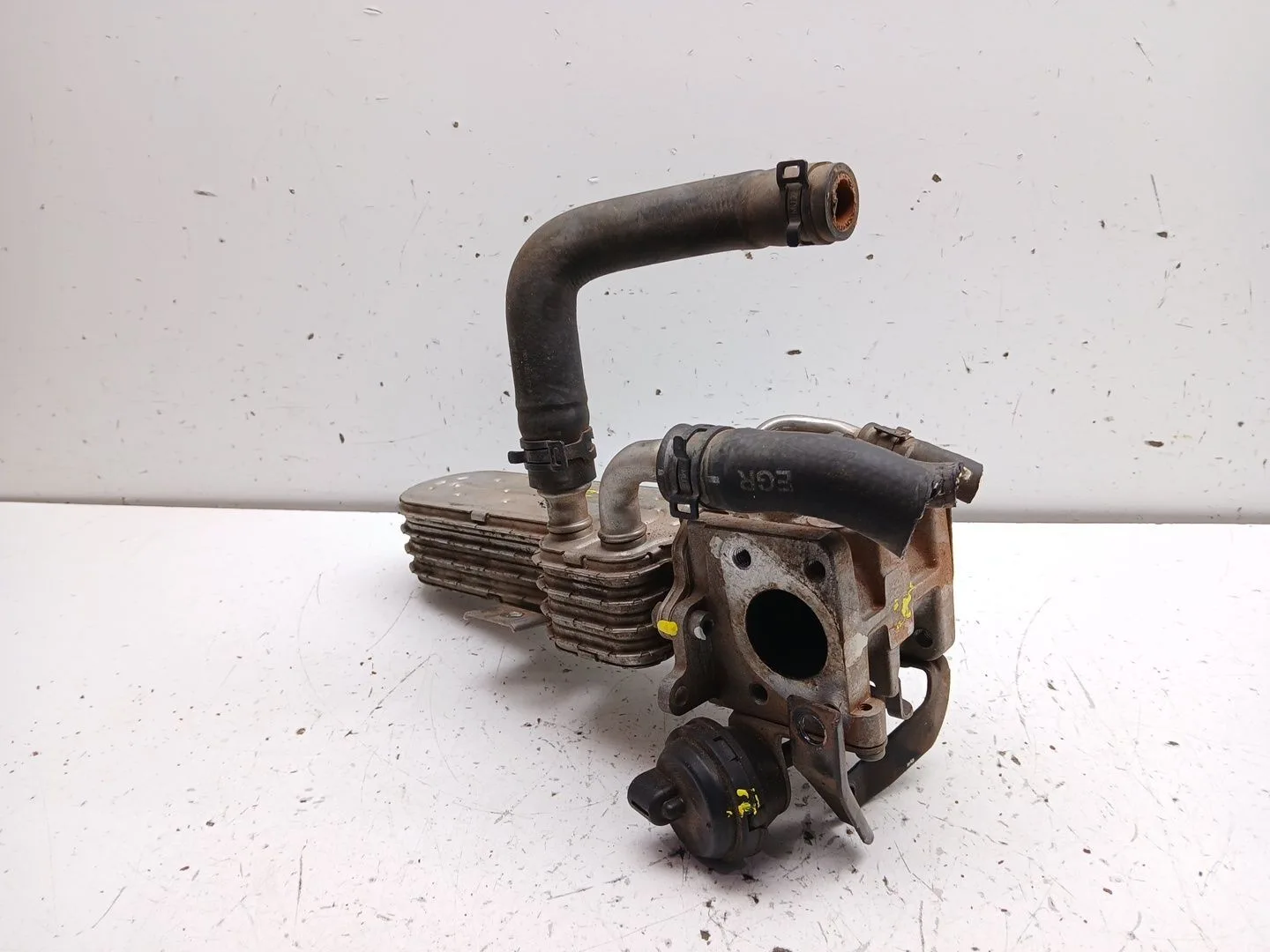 Enfriador Egr para Seat Leon (1P1)