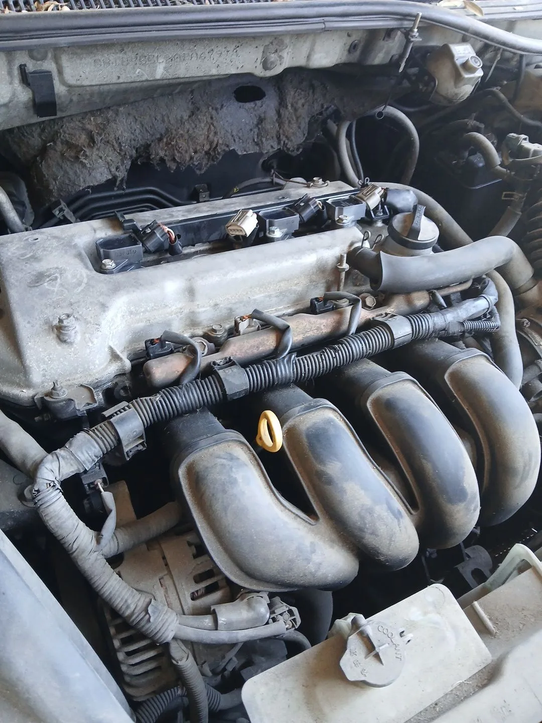 Despiece Motor para Toyota Avensis (_T25_)