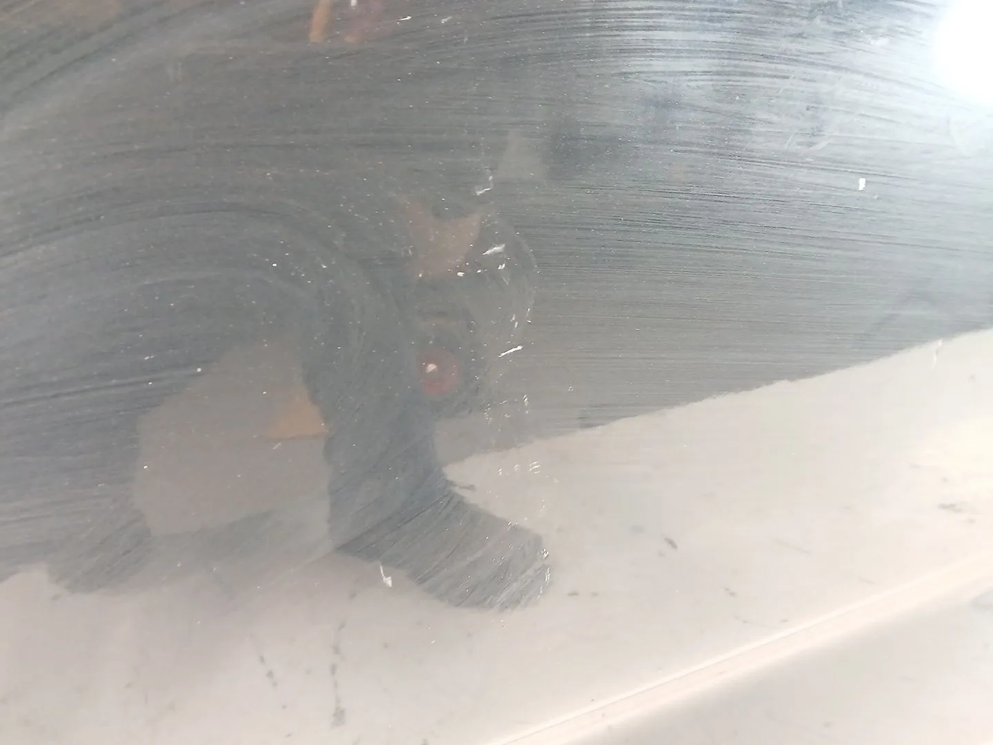 Puerta Delantera Izquierda para Kia Pro Cee'd (Ed)