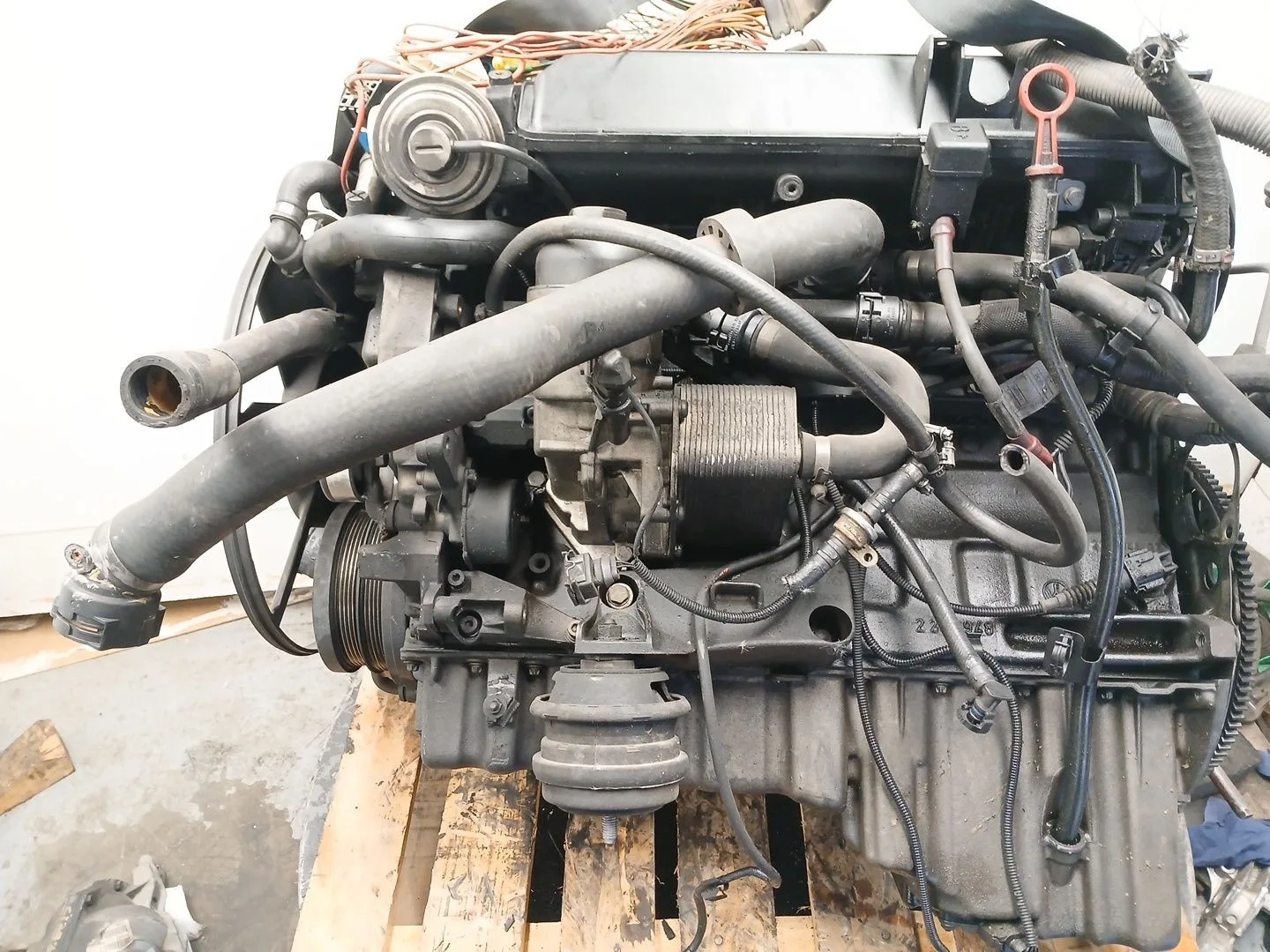Despiece Motor para Bmw 5 Touring (E39)
