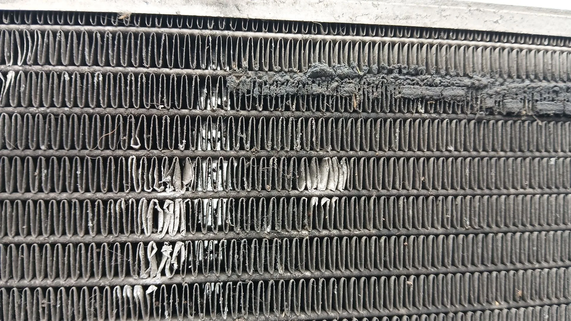 Radiador Agua para Mercedes-Benz Clase C (W203)