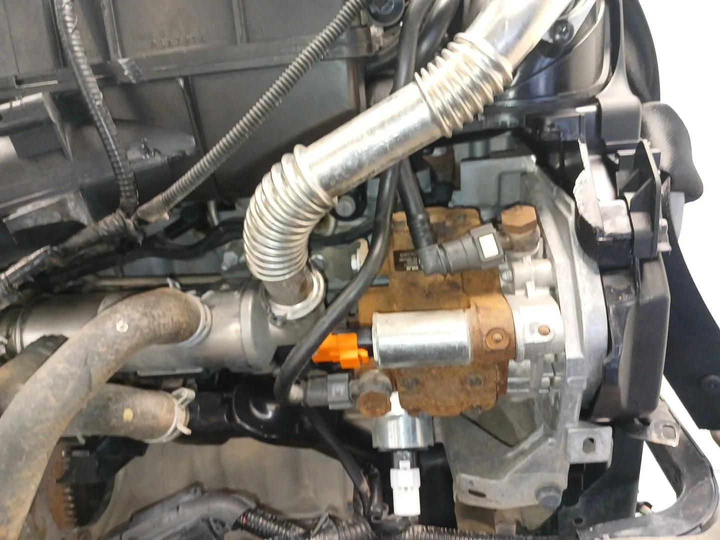 Motor Completo para Ford Fiesta Vi (Cb1, Ccn)