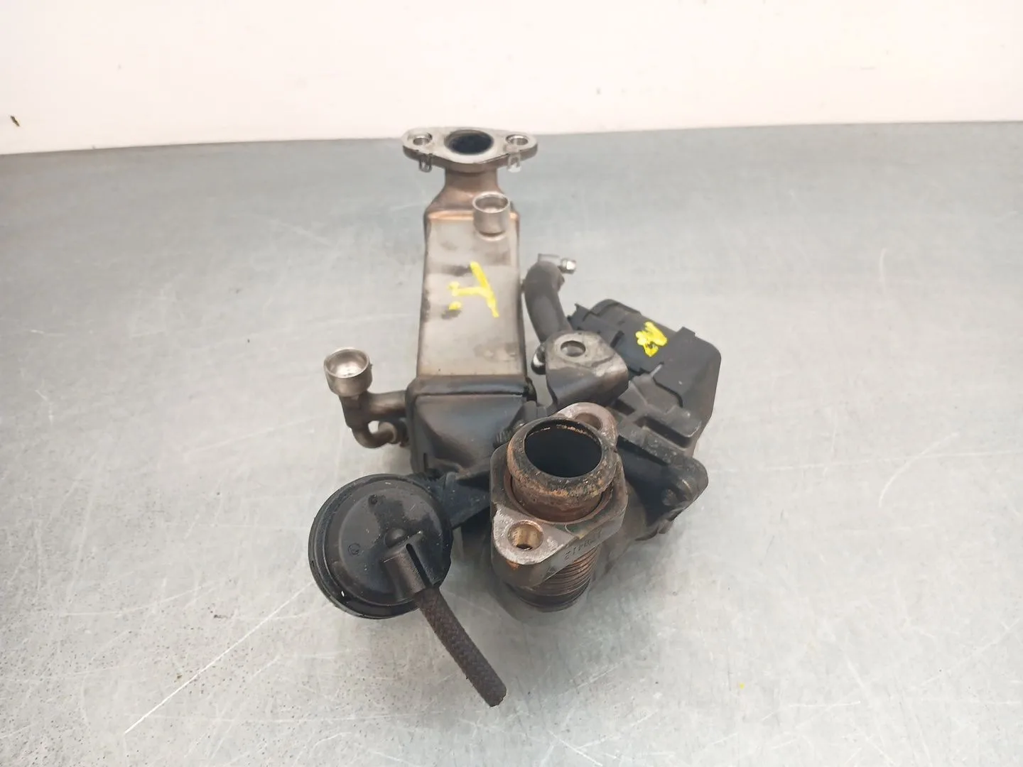 Enfriador Egr para Bmw X1 (E84)