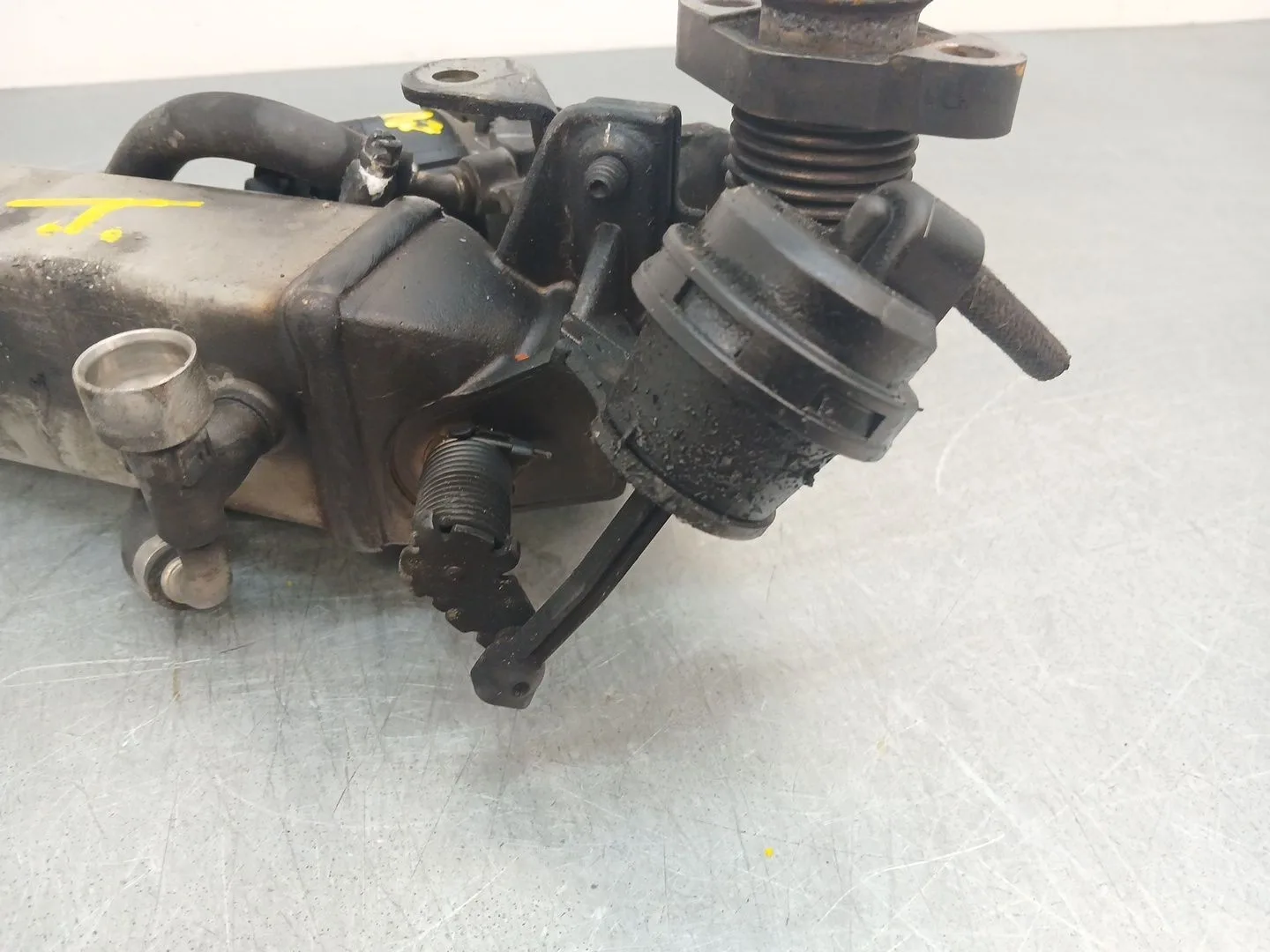 Enfriador Egr para Bmw X1 (E84)