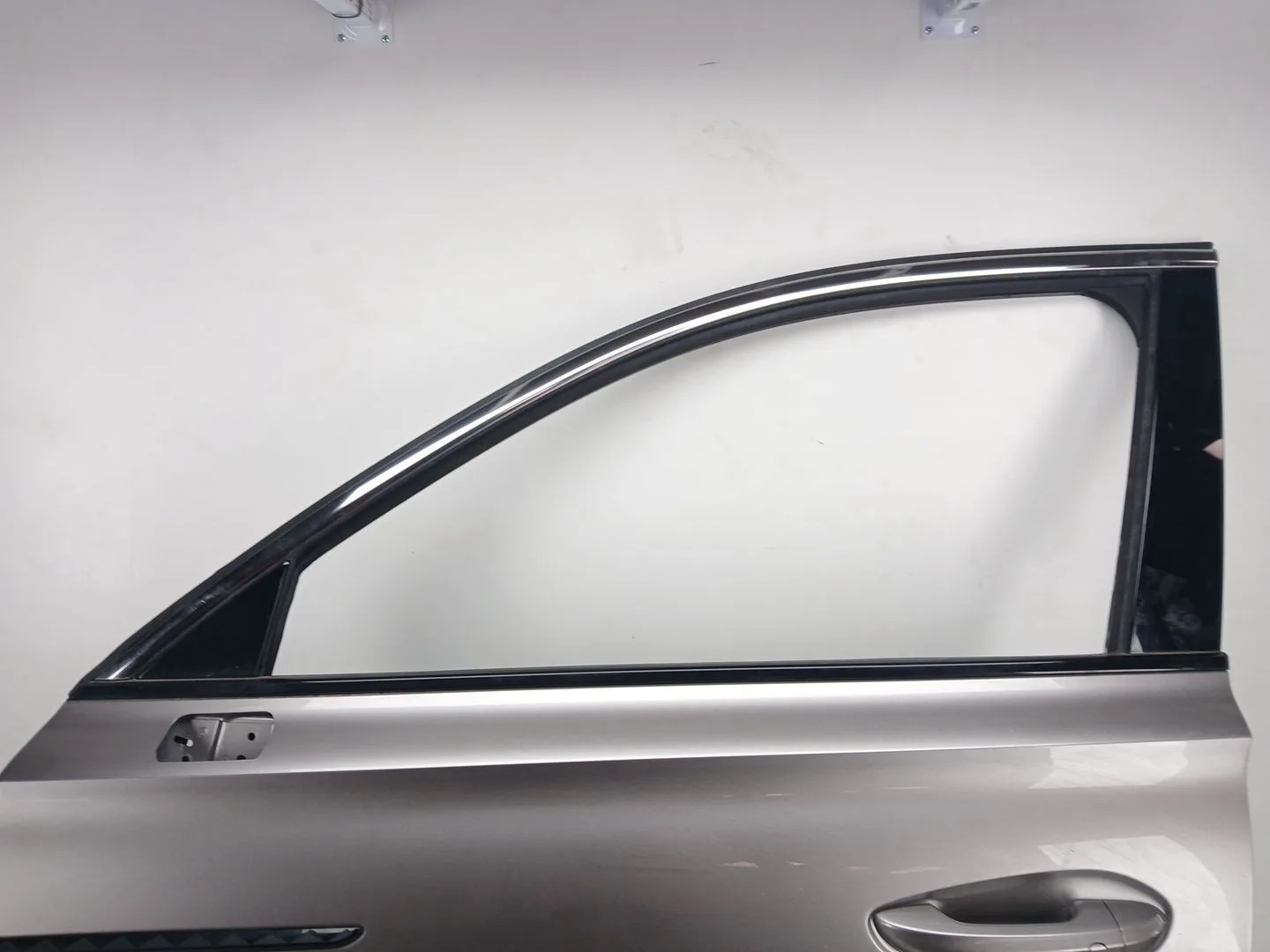 Puerta Delantera Izquierda para Mg Mg Hs (As23)