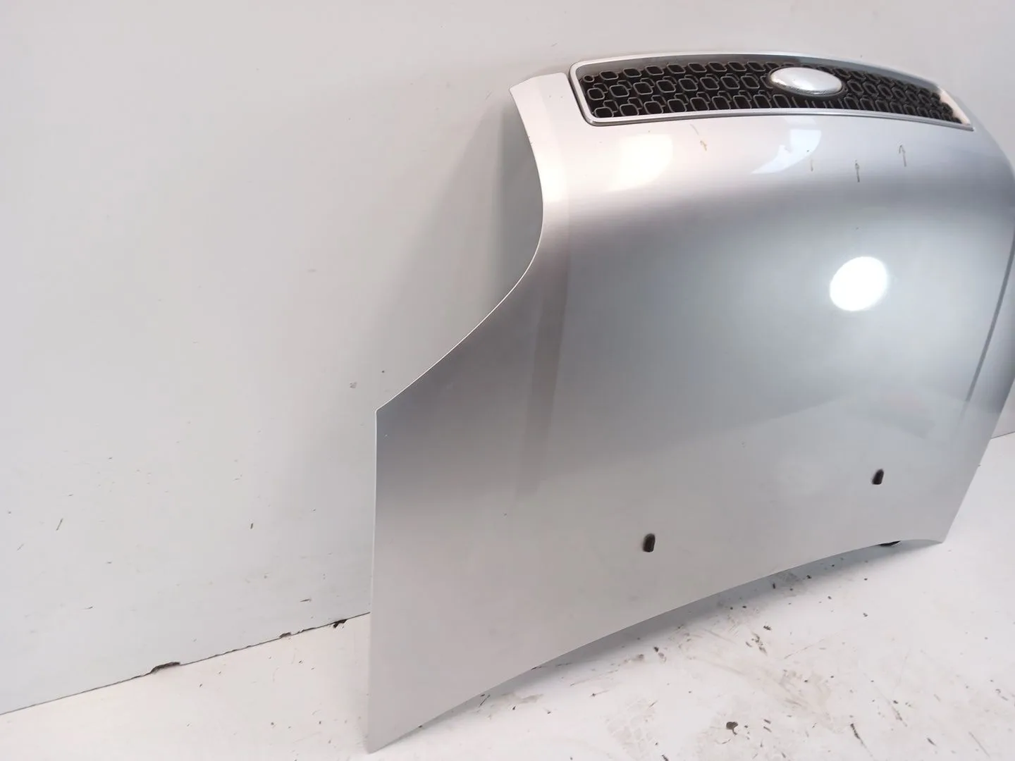 Capot para Ford Fusion (Ju_)