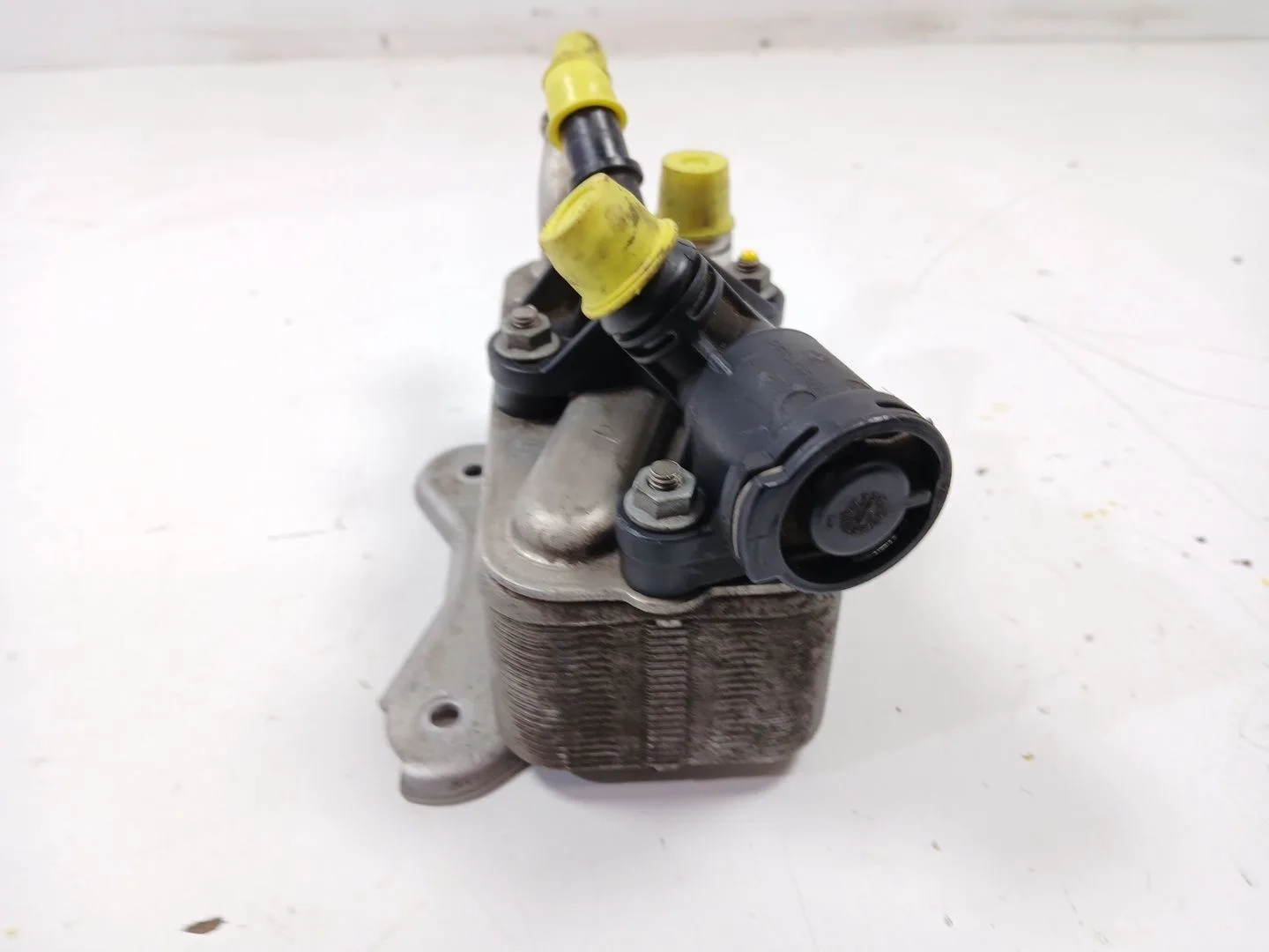 Enfriador Aceite Motor para Bmw X5 (E70)