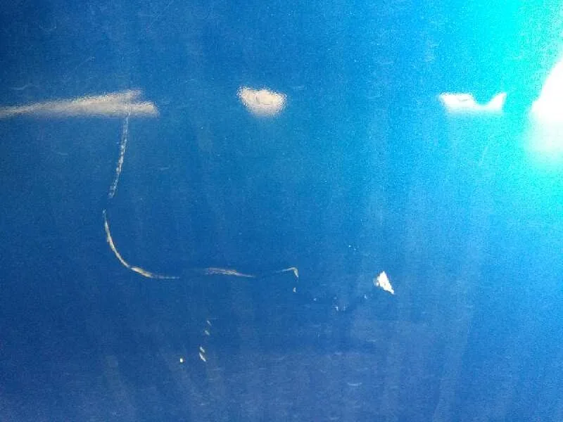 Puerta Trasera Derecha para Subaru Impreza G12