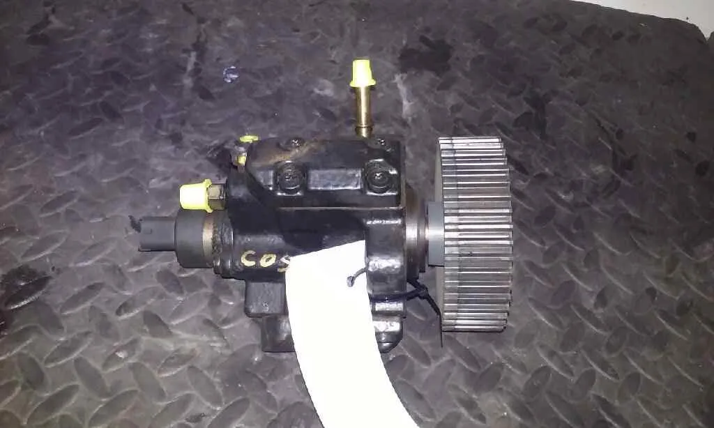 Bomba Inyeccion para Fiat Doblo (119)