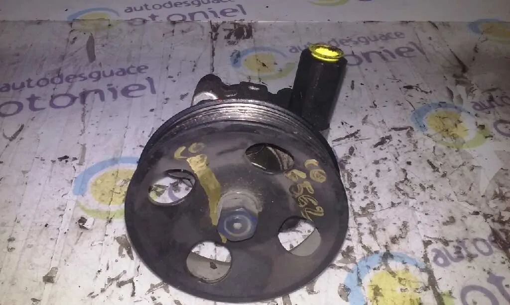 Bomba Direccion para Hyundai Matrix (Fc)