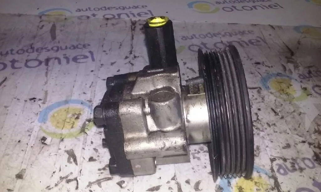 Bomba Direccion para Hyundai Matrix (Fc)