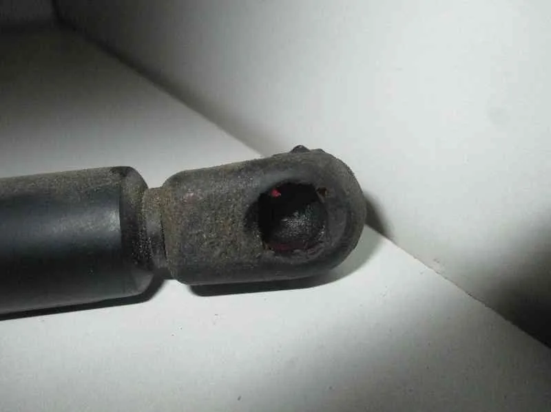 Amortiguadores Capo para Seat Leon (1M1)