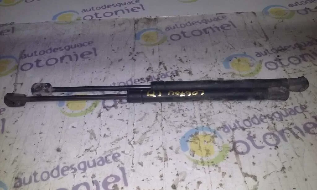 Amortiguadores Maletero / Porton para Daewoo Kalos
