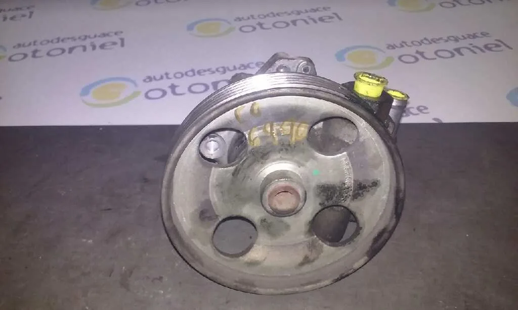 Bomba Direccion para Fiat Ulysse (179)