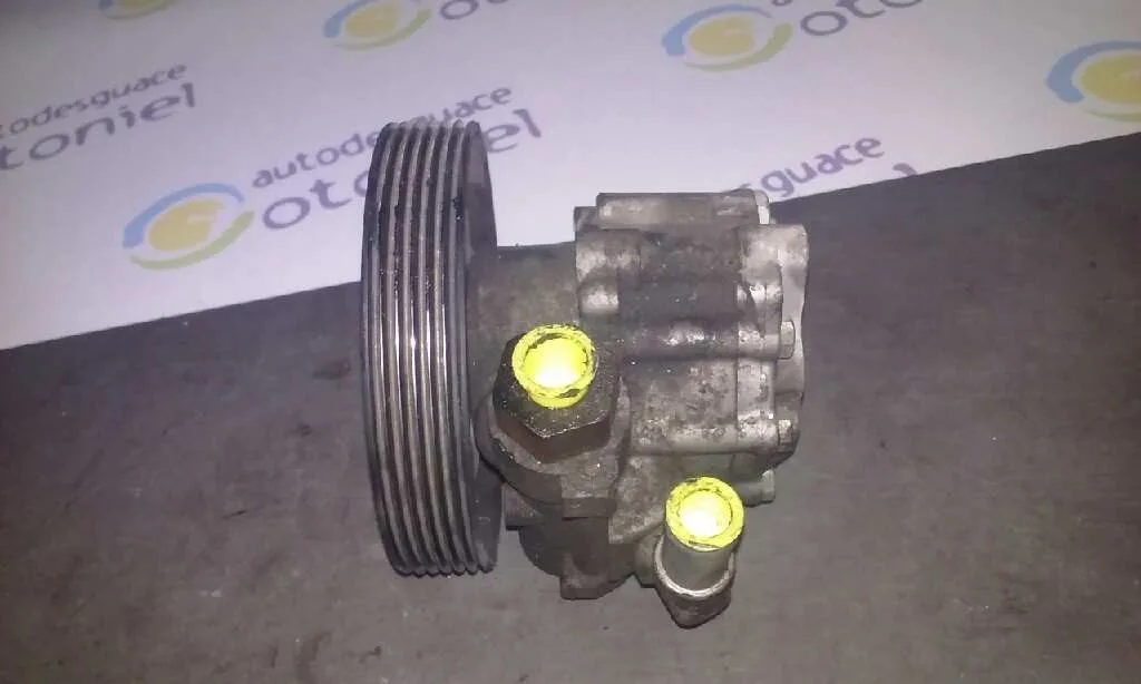 Bomba Direccion para Fiat Ulysse (179)