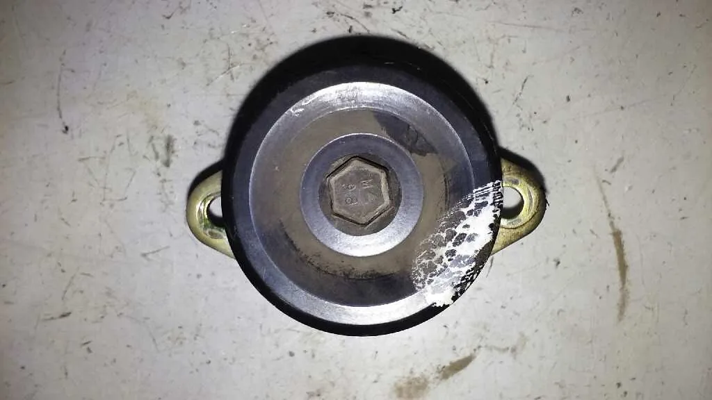 Polea Alternador para Ford Focus Berlina (Cak)