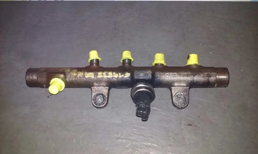 Rampa Inyectora para Renault Scenic Ii