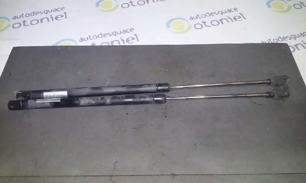 Amortiguadores Maletero / Porton para Daewoo Matiz