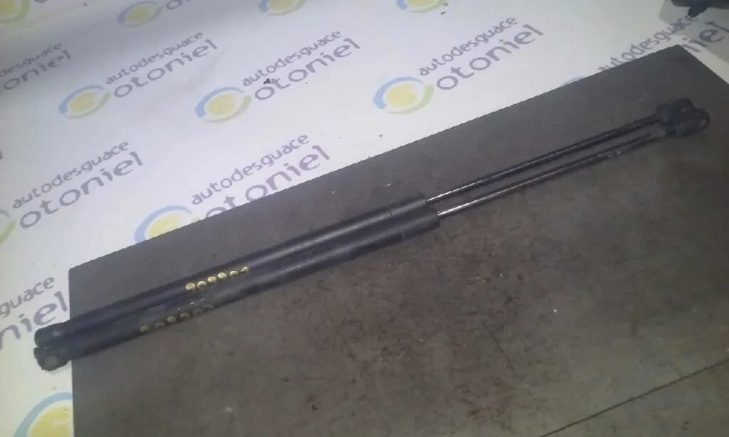 Amortiguadores Maletero / Porton para Ford Fusion (Cbk)