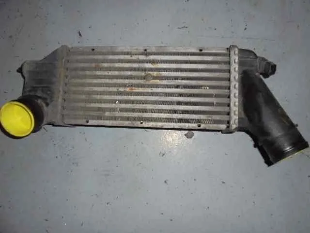 Intercooler para Peugeot 307 (S1)