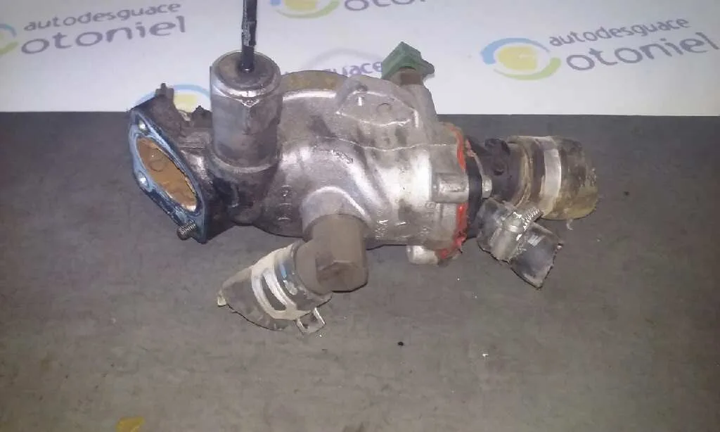 Termostato para Peugeot 206 Berlina