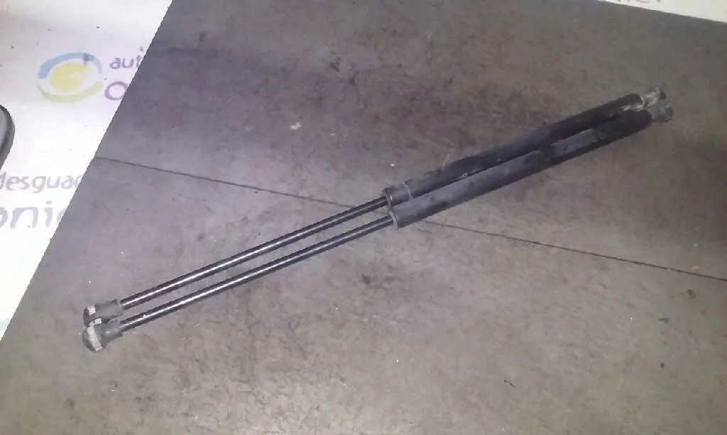 Amortiguadores Capo para Citroën C5 Berlina