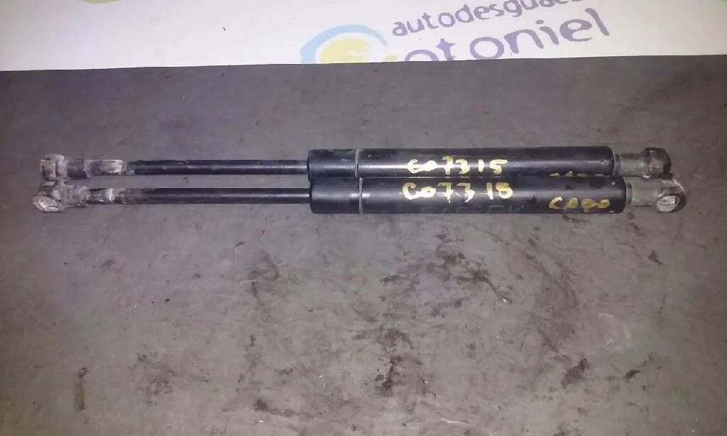 Amortiguadores Capo para Bmw Serie 3 Berlina (E46)
