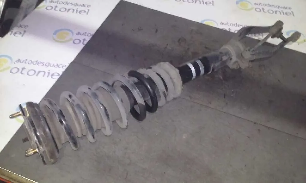 Amortiguador Delantero Izquierdo para Mazda 6 Monovolumen (Gy)