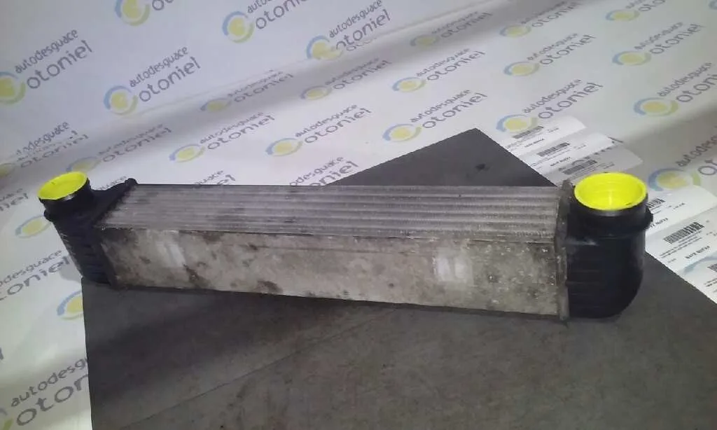 Intercooler para Bmw Serie 5 Touring (E39)