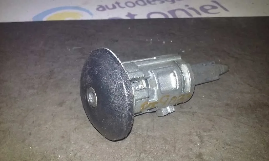 Bombin Puerta Delantera Derecha para Ford Tourneo Connect (Tc7)