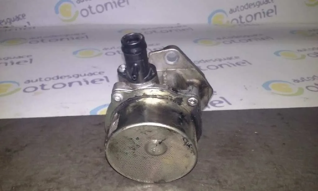 Depresor Freno / Bomba Vacio para Renault Scenic Ii