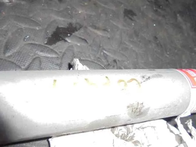 Amortiguador Trasero Derecho para Ford Fiesta (Cbk)