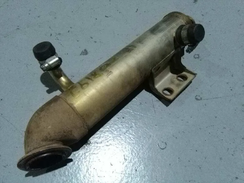 Enfriador Egr para Ford Focus Berlina (Cak)