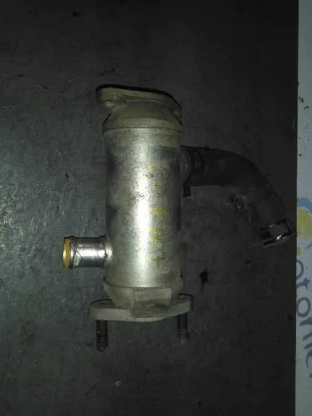 Enfriador Egr para Kia Carnival Ii