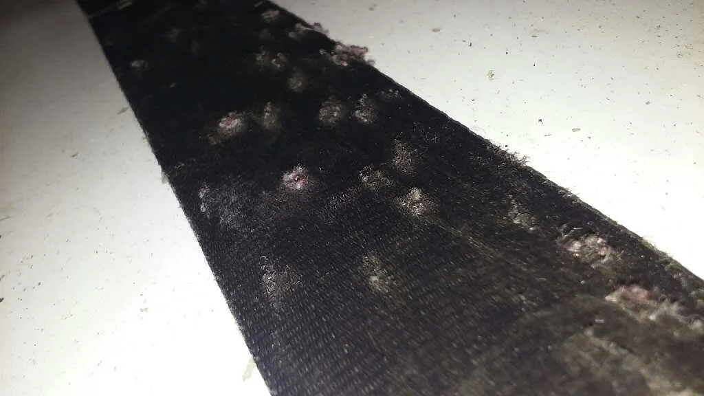 Cinturon Seguridad Delantero Izquierdo para Renault Kangoo (F/Kc0)