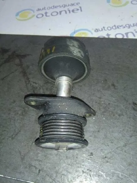 Polea Alternador para Ford Focus Turnier (Cak)