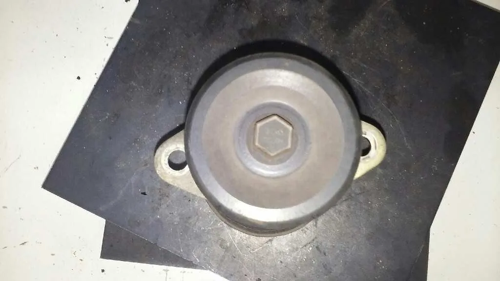 Polea Alternador para Ford Focus Turnier (Cak)