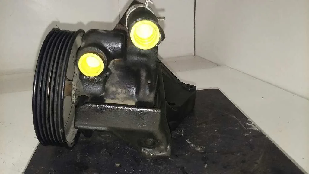 Bomba Direccion para Ford Puma (Cce)